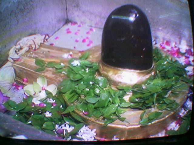 Lingam