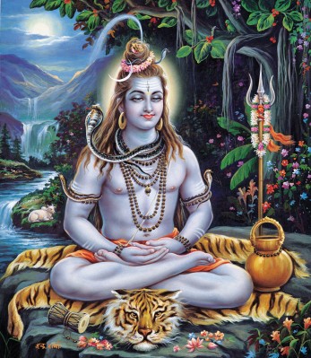 Yogi
